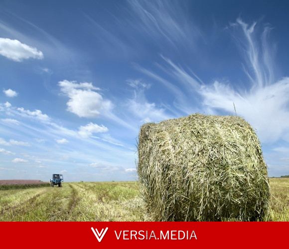 USDA Introduces More Crop Insurance Options for Forage Producers